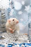 Рождественский мышонок