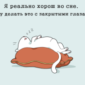 Фестиваль сонного дня