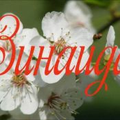 С днем рождения зинаида