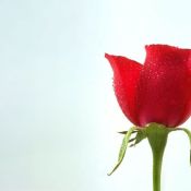 Открытка комплимент