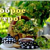Праздник доброты