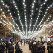 Новогодний елец