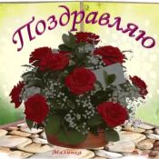 С днем рождения антонина