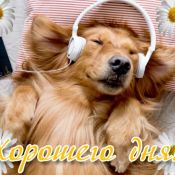 Открытки с добрым днем новые