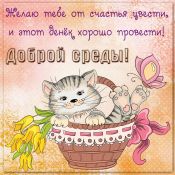 Открытки на каждый день
