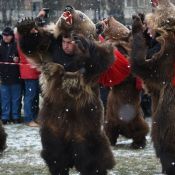 Медвежий фестиваль
