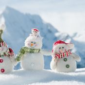 Новогодняя природа