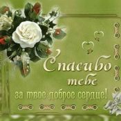 Открытки дорогие