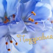 Поздравление пастору