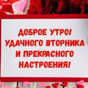 С юбилеем племяшка