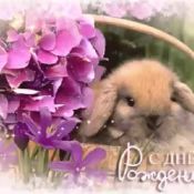 С днем рождения зая