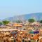 Фестиваль верблюдов в индии