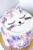 Торт для кота на день рождения
