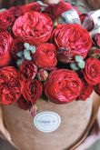 Пионовидные розы с днем рождения женщине