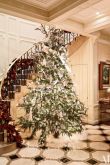 Новогодняя елка в частном доме