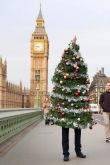 Елка на рождество в англии