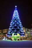 Рождественская ель в германии