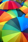 Праздник разноцветных зонтов