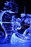 Харбин фестиваль ледяных скульптур