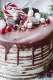 Шоколадный новогодний торт