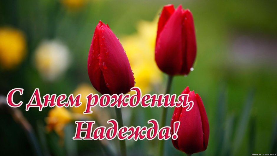 Поздравления с днём рождения море