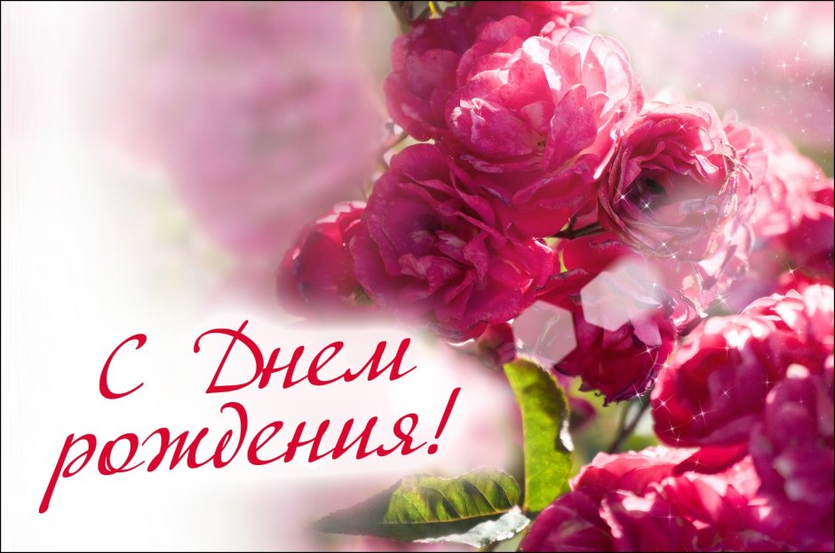 С днемирождения Галина Владимировна
