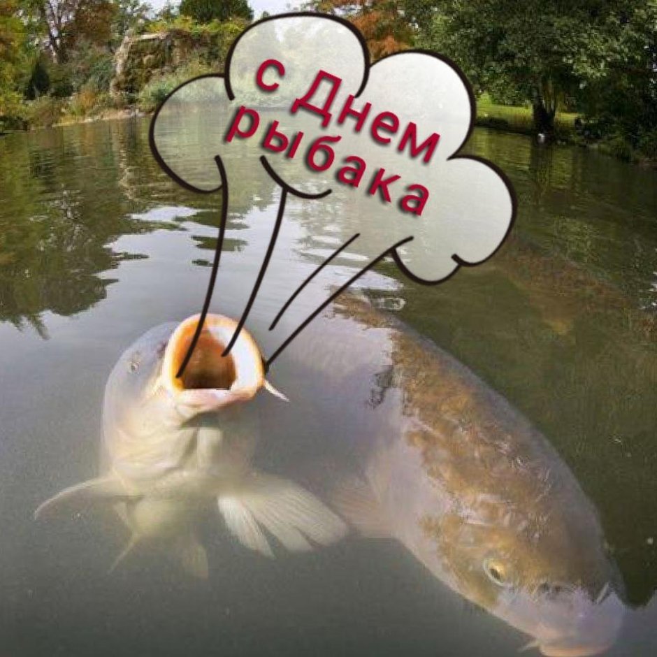 Рыбак ждет