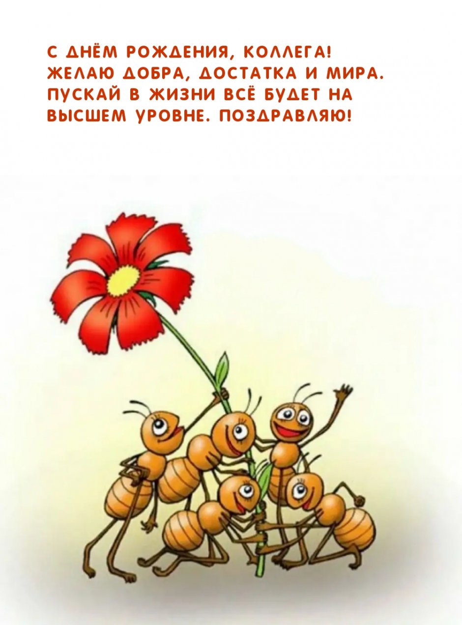 Веселые открытки с днем рождения