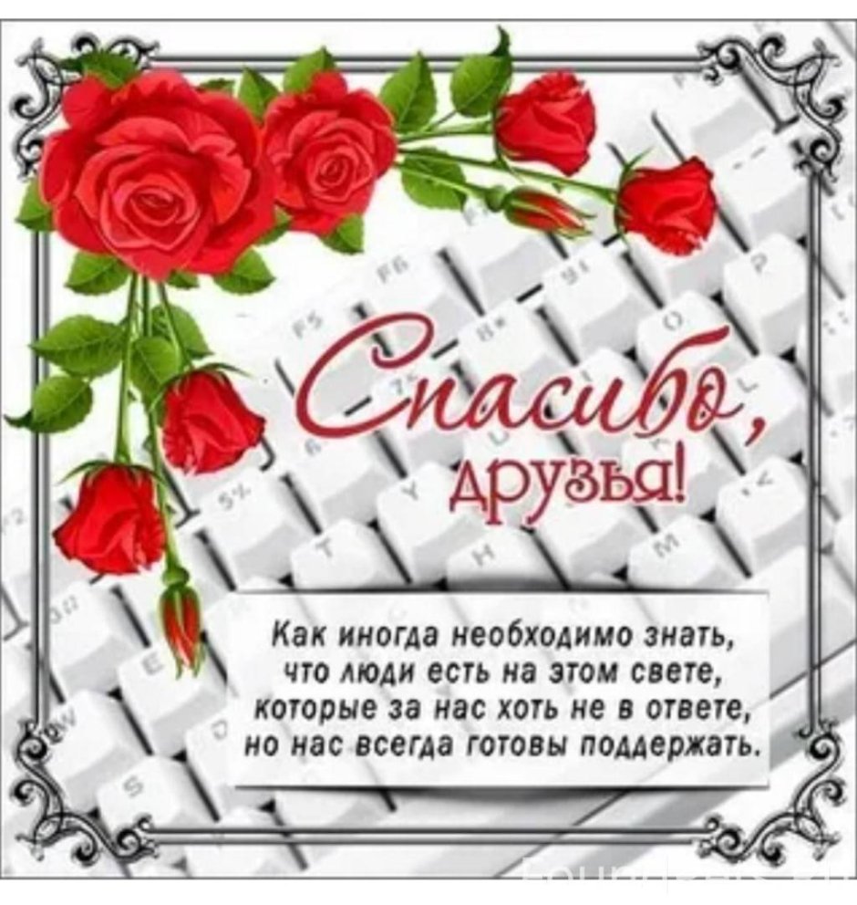 Спасибо друзьям за дружбу