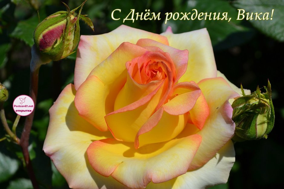 С днем рождериядевушке
