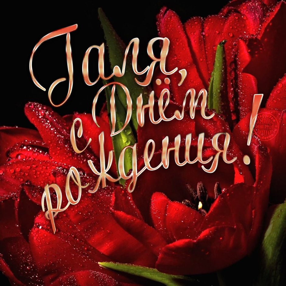 Женечка с днём рождения