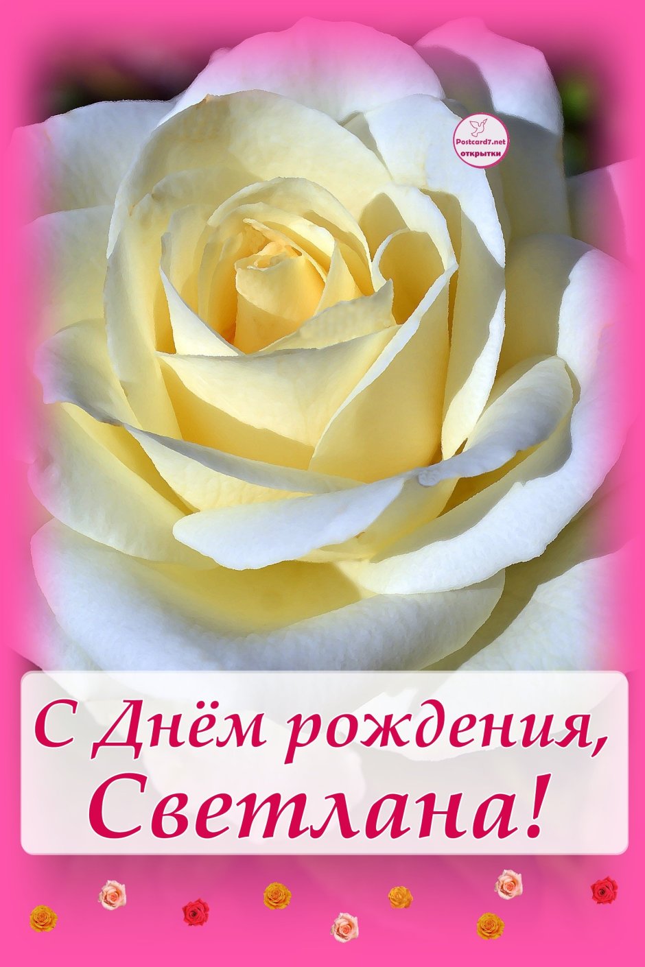 Света с днём рождения поздравления