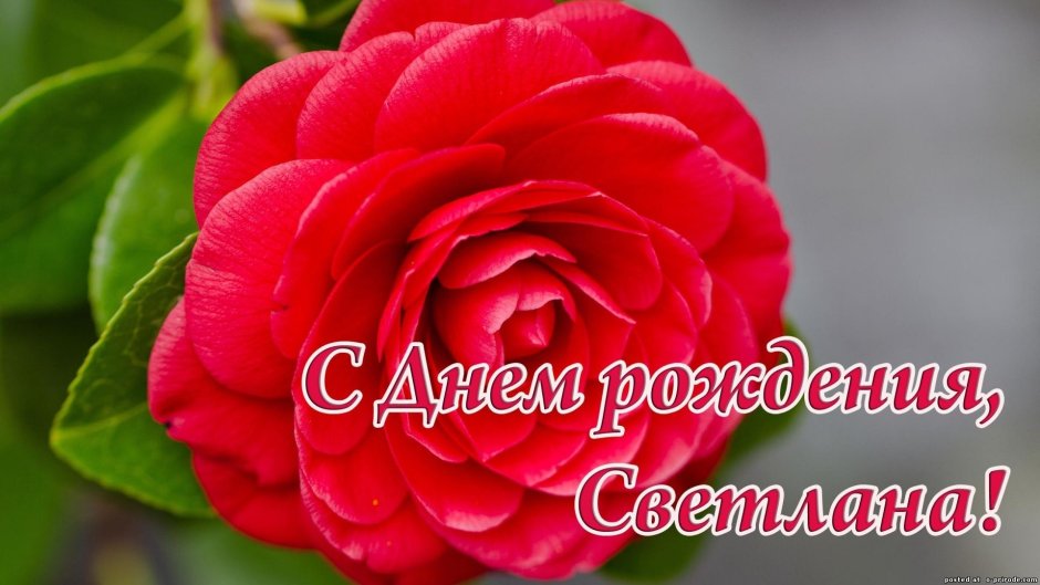 Поздравления с днём рождения