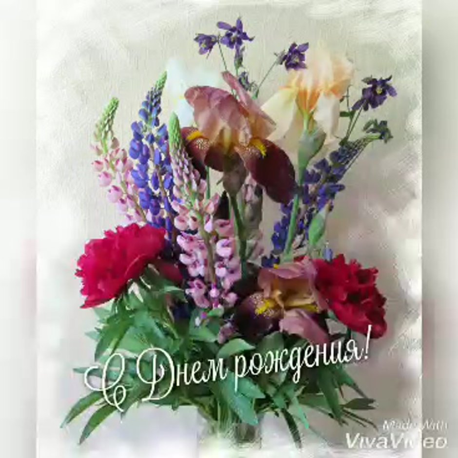 Светлана Алексеевна с днем рождения