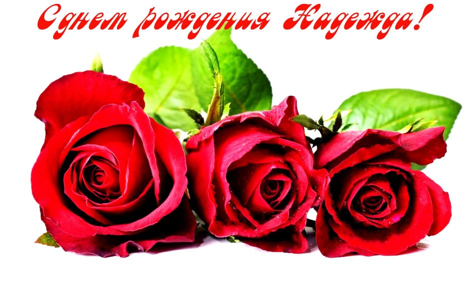 Поздравления с днём рождения девушке
