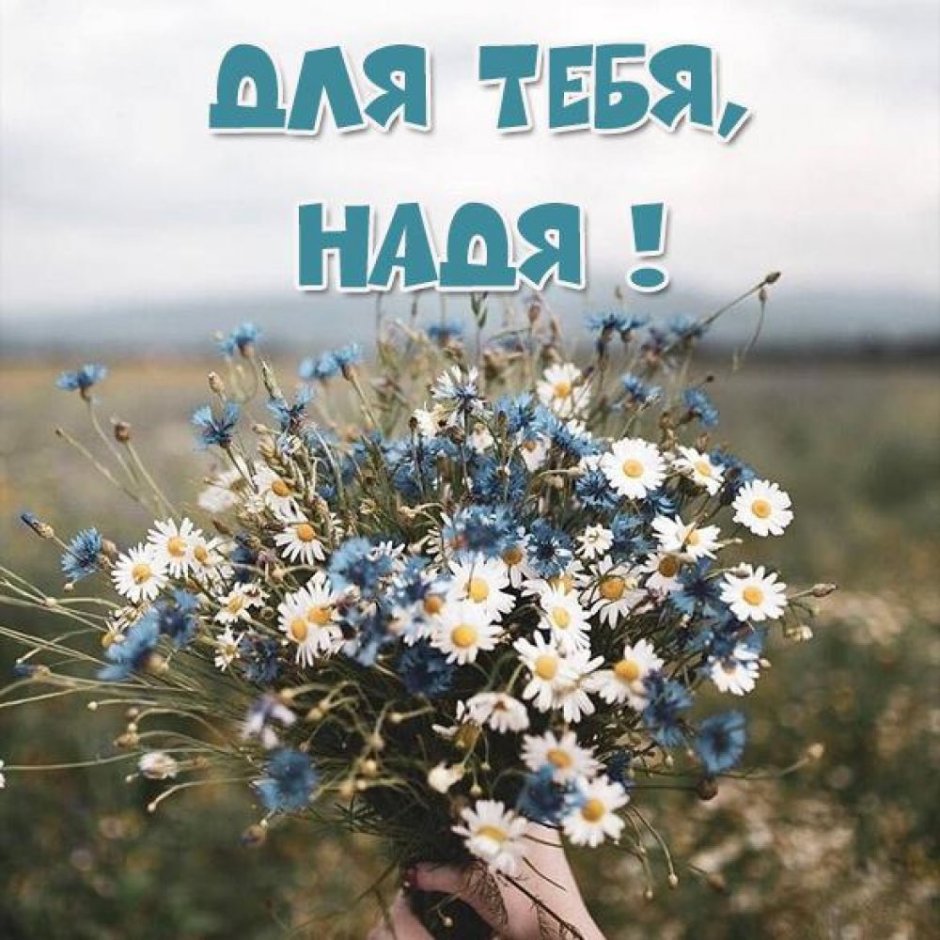 Цветы на белом фоне