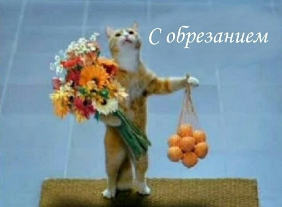 С днём рождения самой красивой
