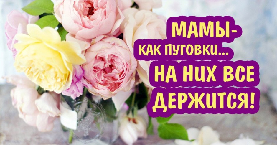 Поздравления с днём рождения