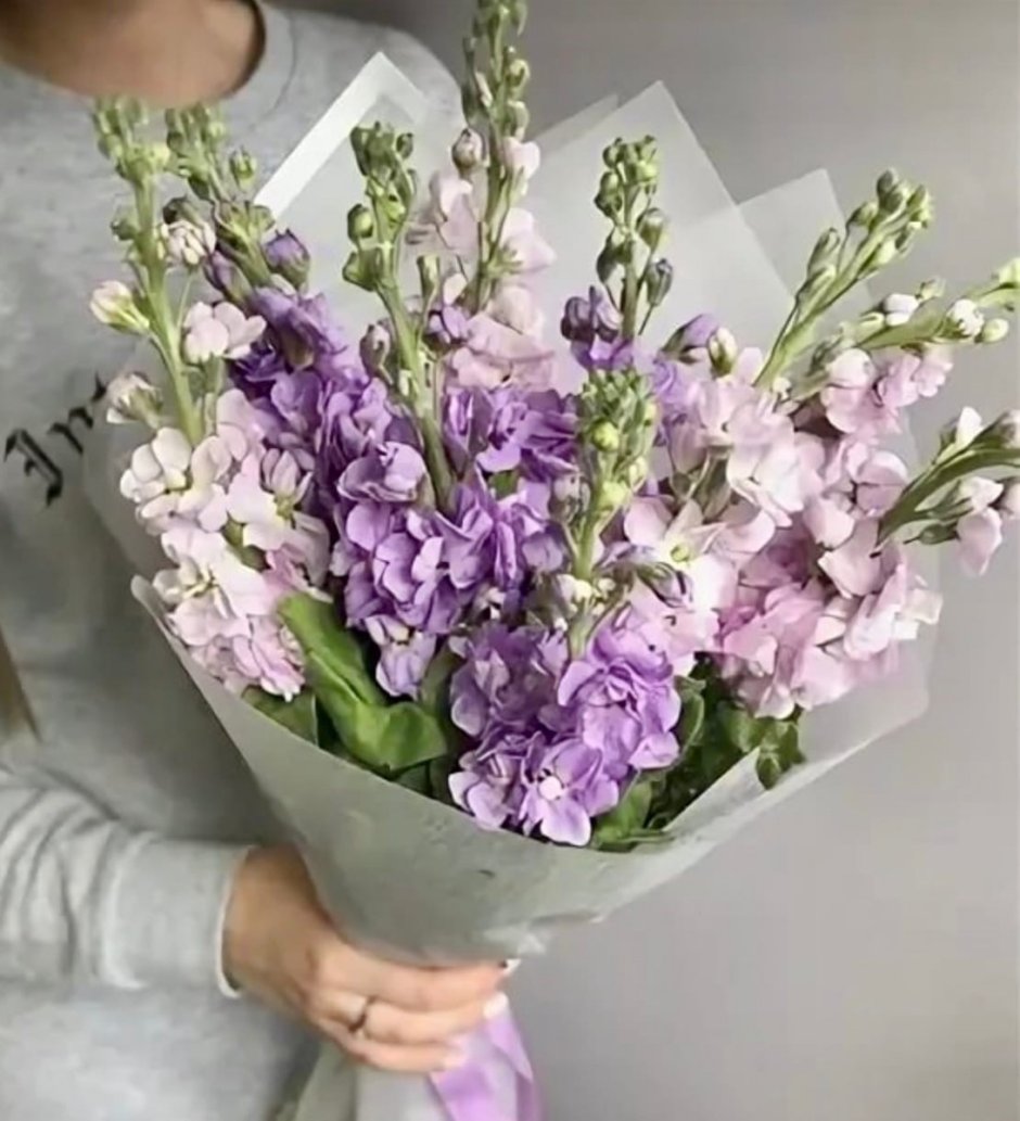 Маттиола Букетная