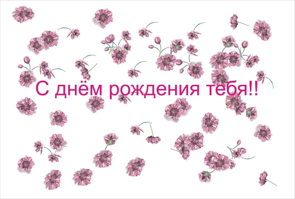 С днём рождения лпночка