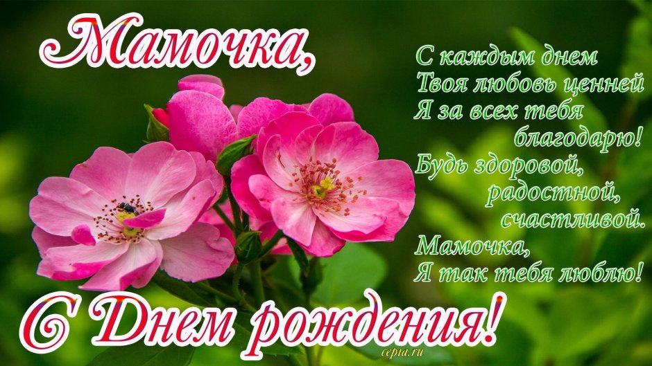 С днём рождения бабушка