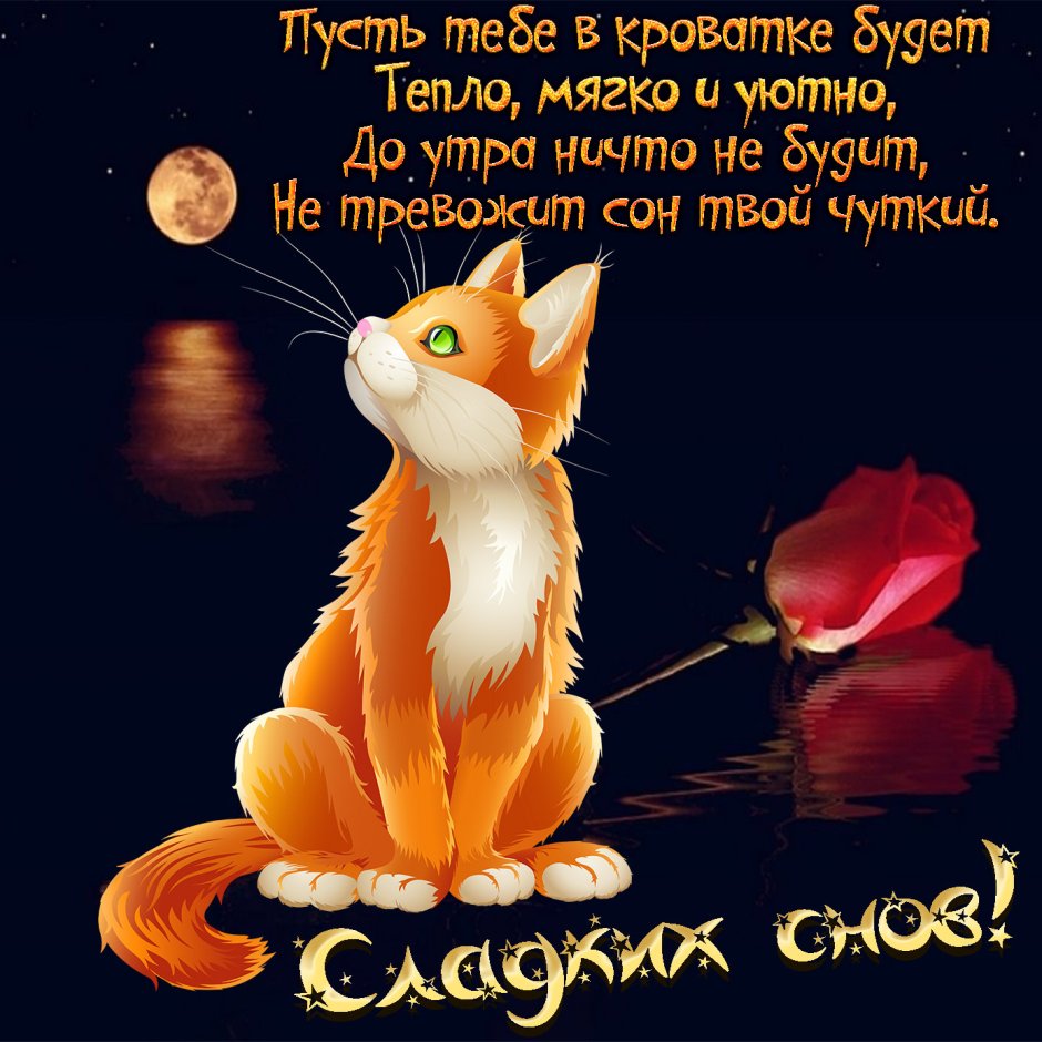 Пожелания сладких снов