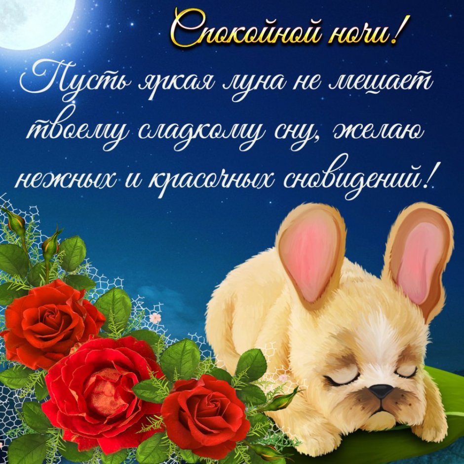 Поздравление спокойной ночи