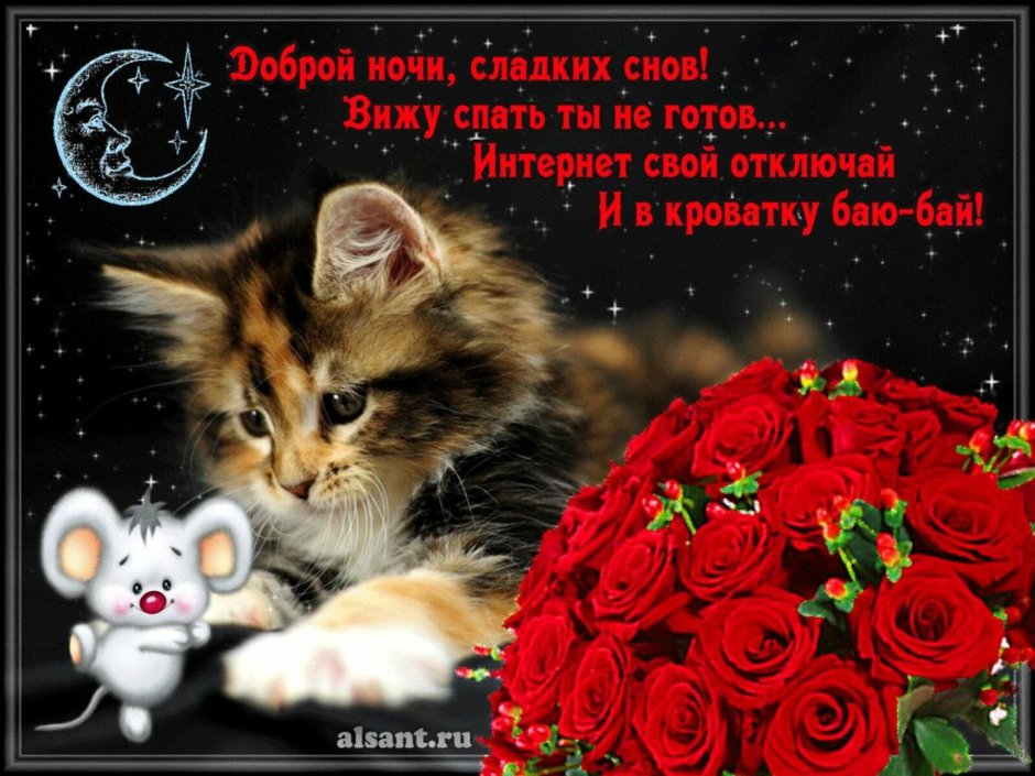 Поздравление спокойной ночи