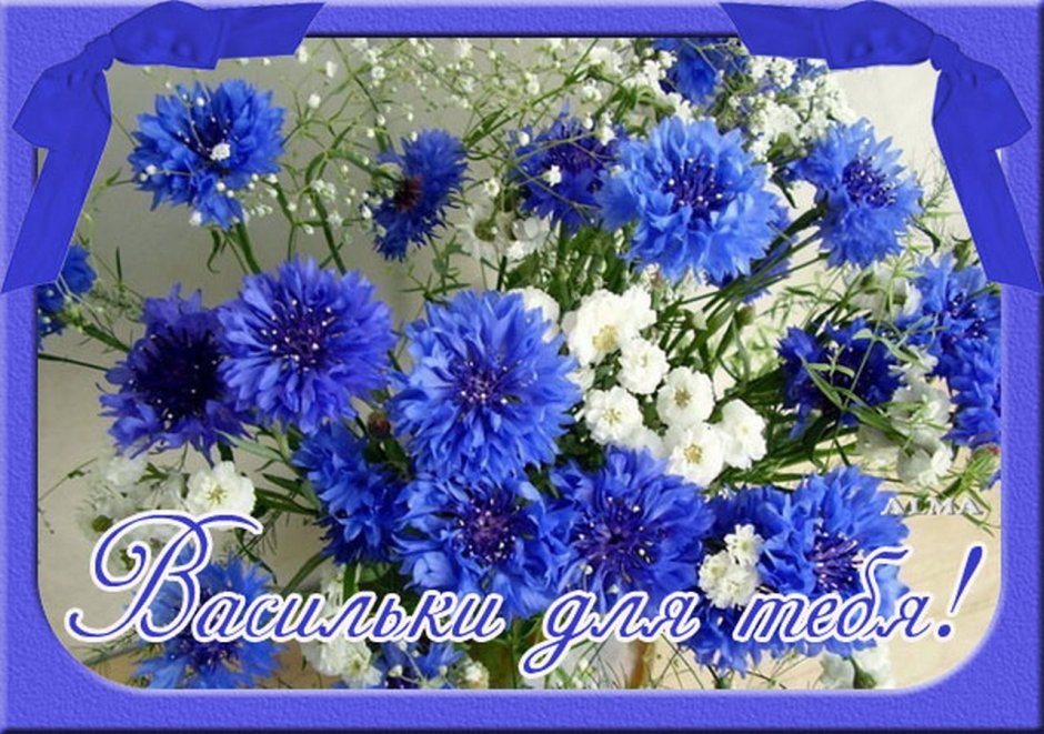 С днём рождения Дима