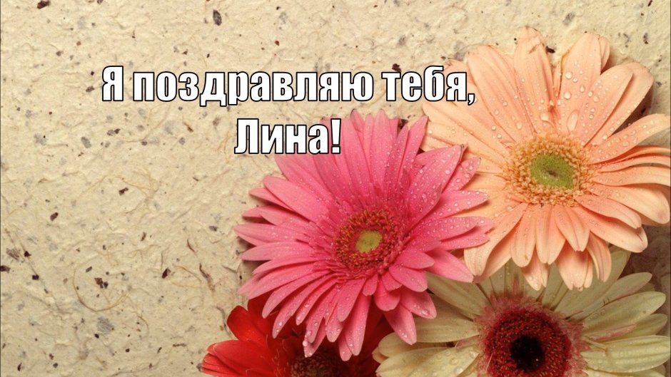 С днём рождения герберы открытки