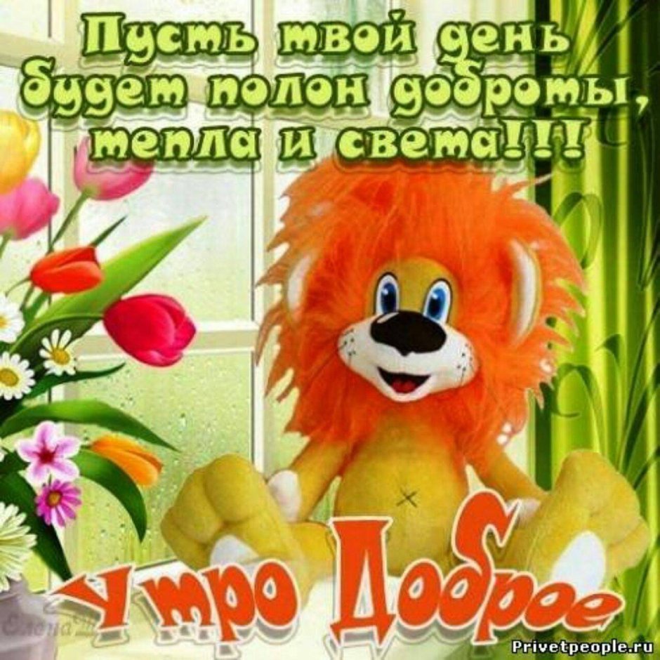Пожелания с добрым утром девушке
