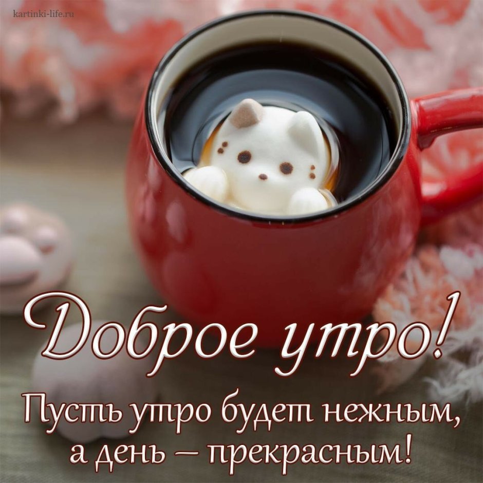 С добрым утром
