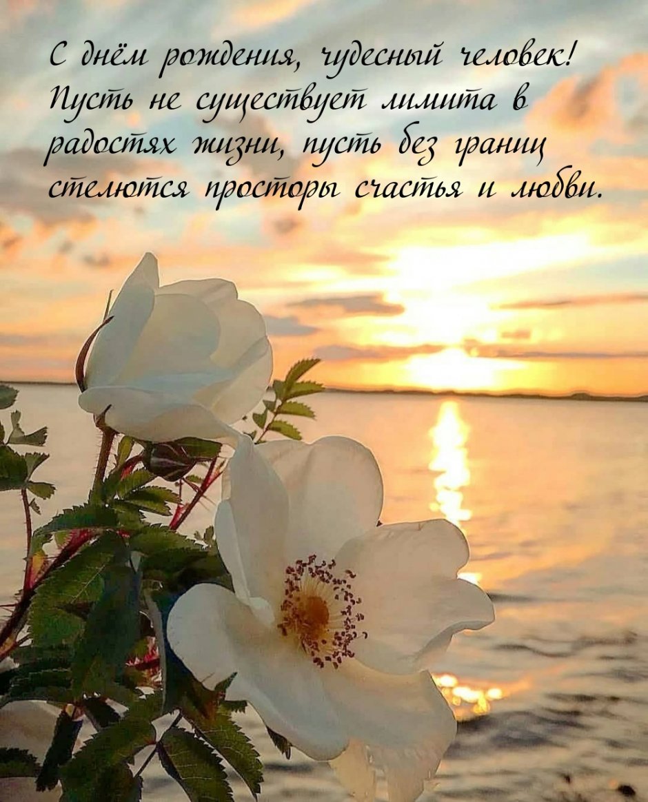 Море красивых цветов