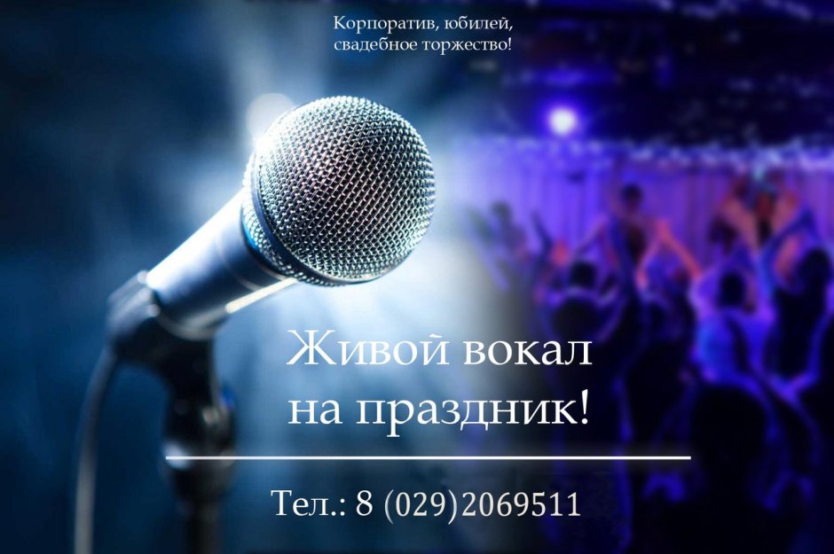Микрофон для визитки